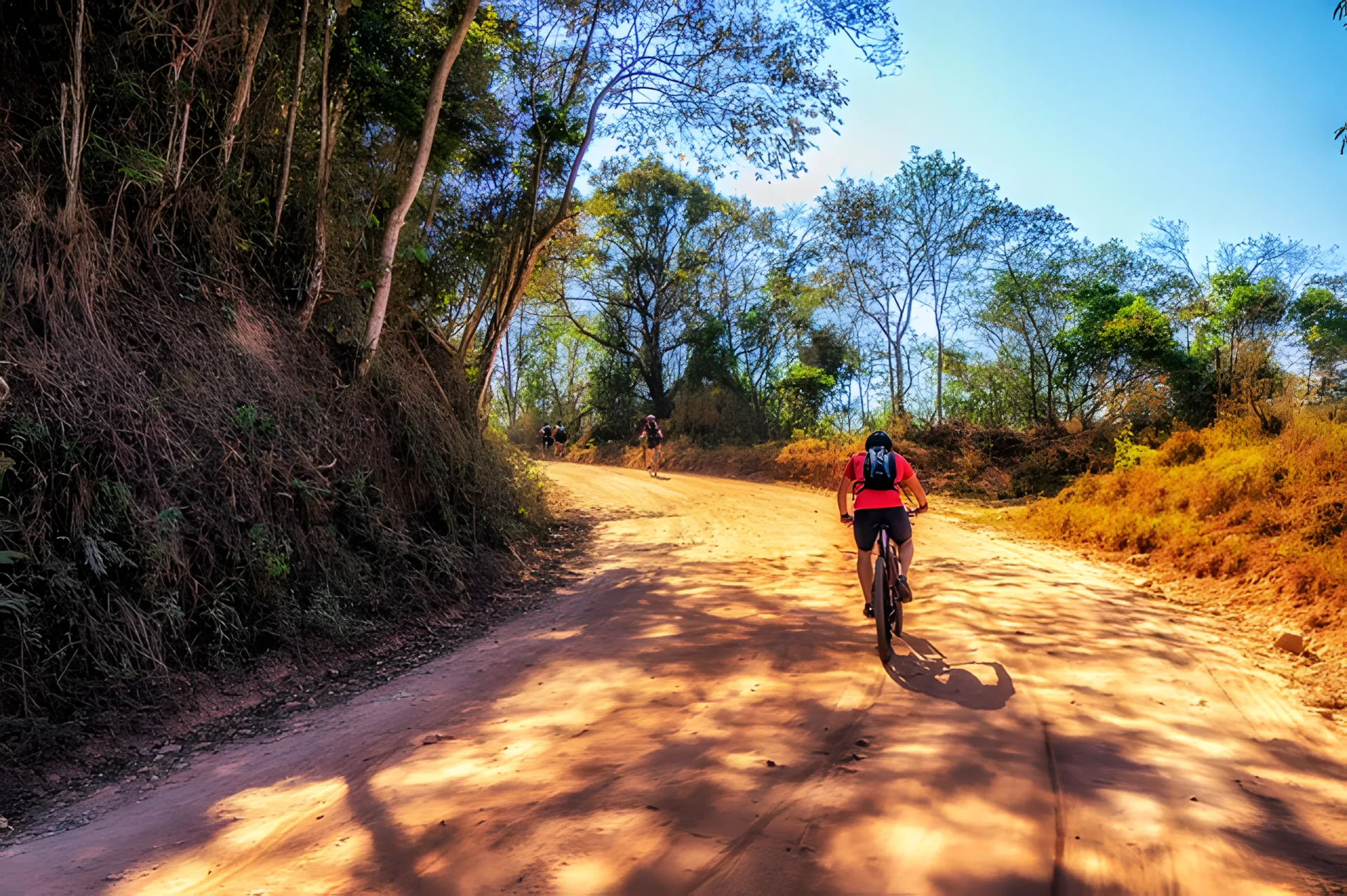 Mountain Bike